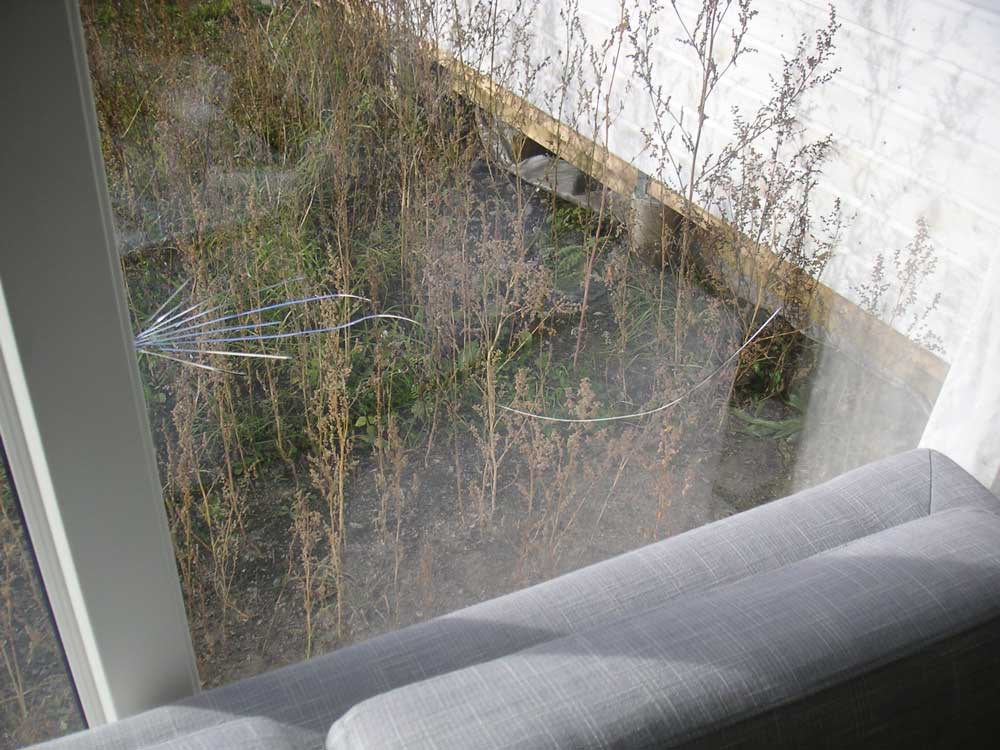 Foto av glassrute med sprekker fra kantskade