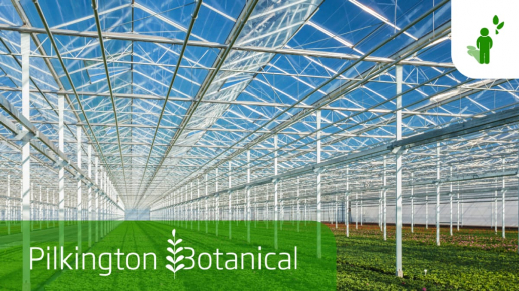 Foto av Pilkington Botanical-glass